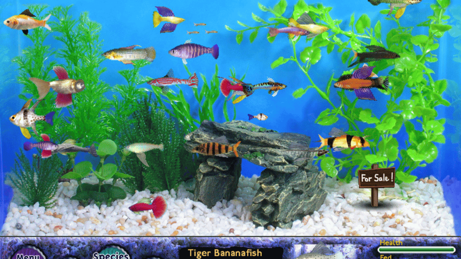 Fish Tycoon Screenshot