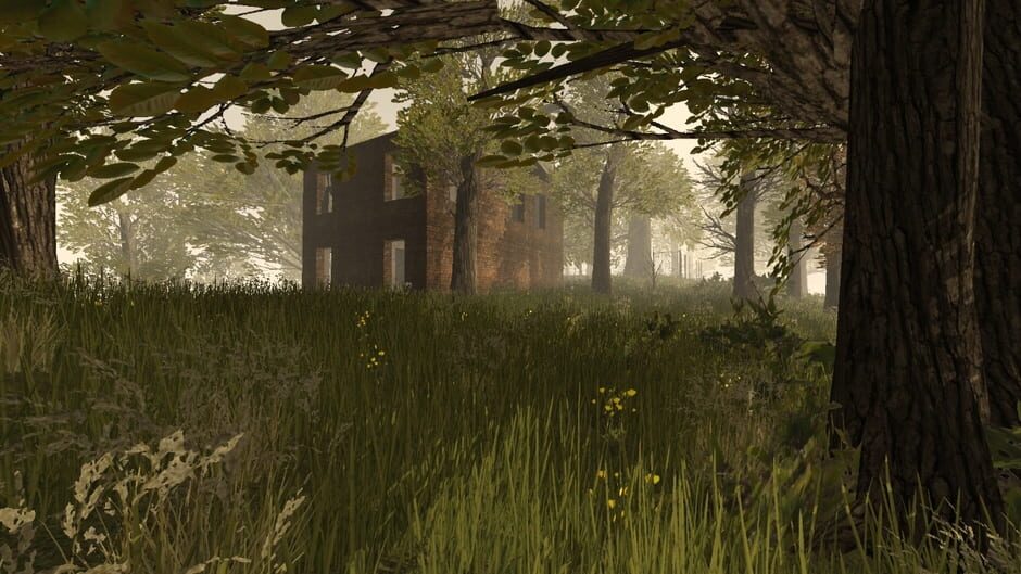 PostCollapse screenshot