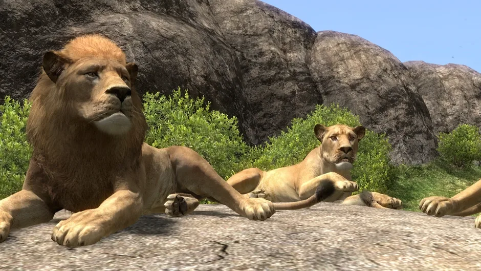 Afrika, captura de tela 3