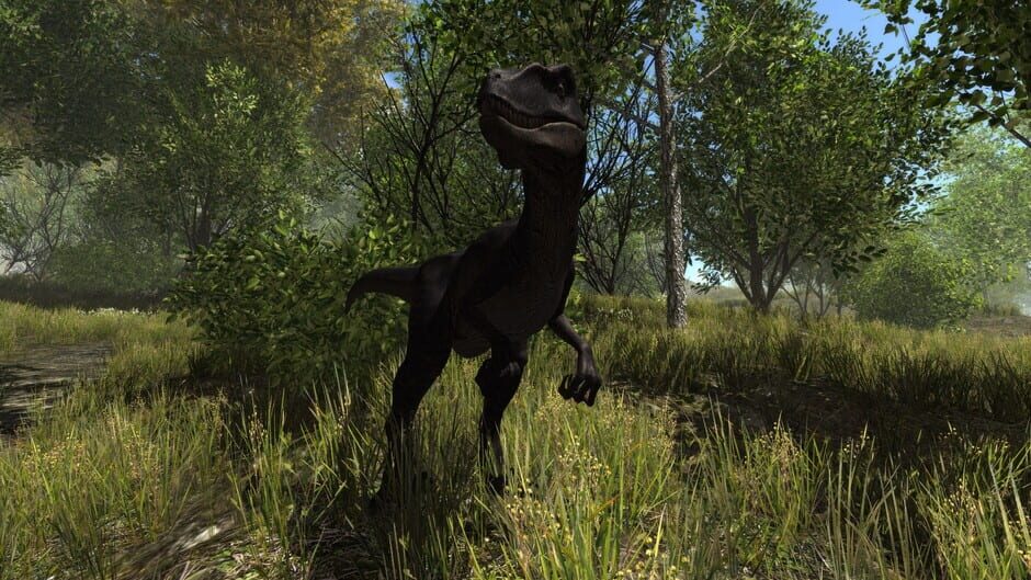 Dinosaur Forest Screenshot