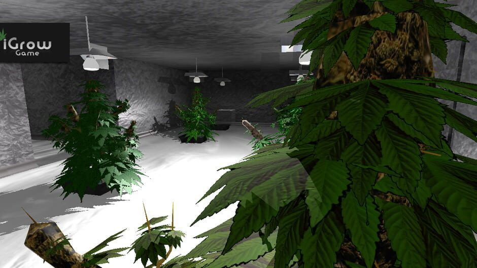 iGrow Game Screenshot