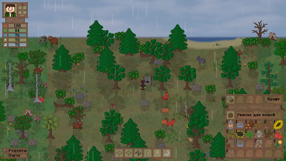 Lost In Woods 2 Screenshot