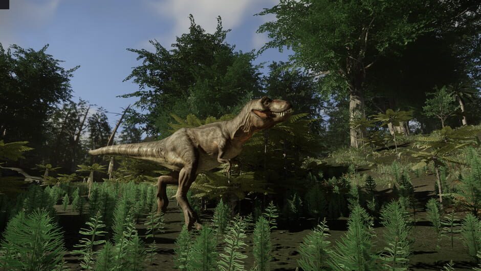 Collision Course Screenshot