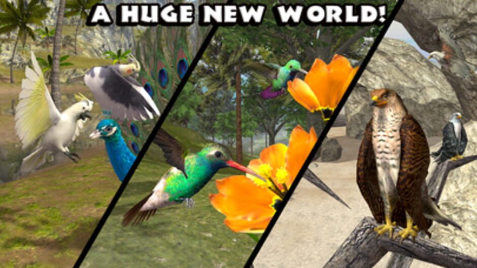 Ultimate Bird Simulator screenshot