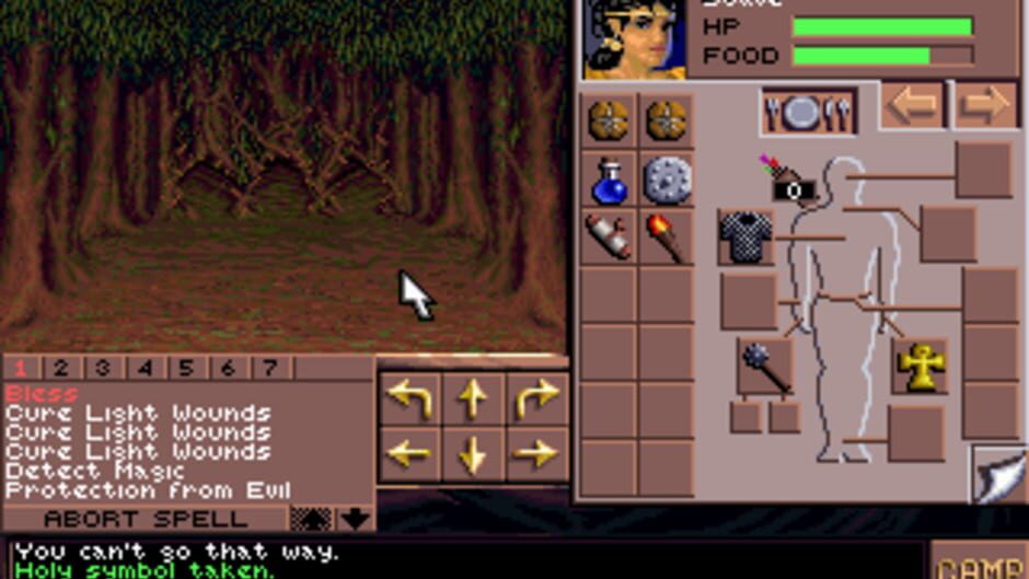 Eye of the Beholder III: Assault on Myth Drannor screenshot