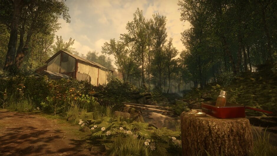 Screenshot Everybody's Gone to the Rapture