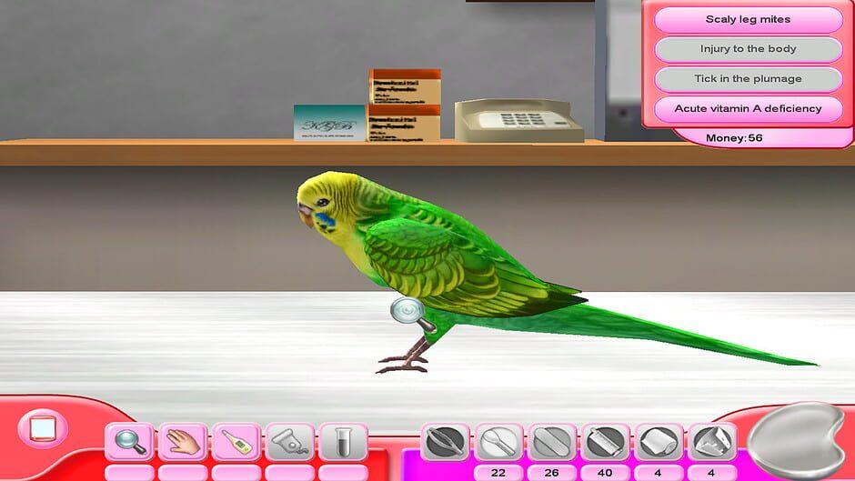 My Vet Practice: In the Country Screenshot