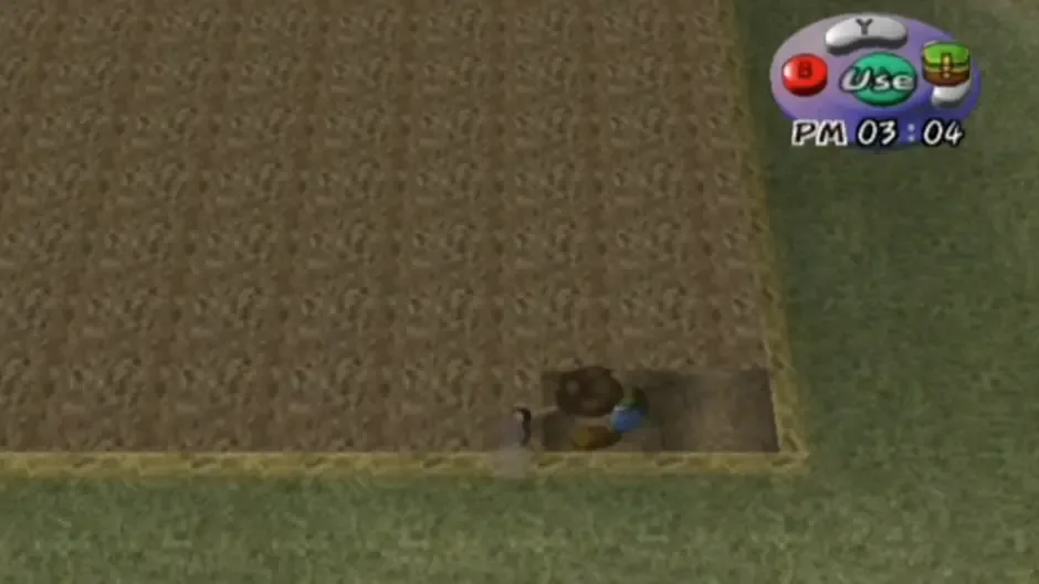 Harvest Moon: A Wonderful Life, captura de tela 3