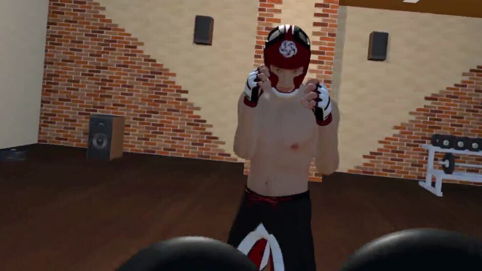 Fight Sparring VR Screenshot
