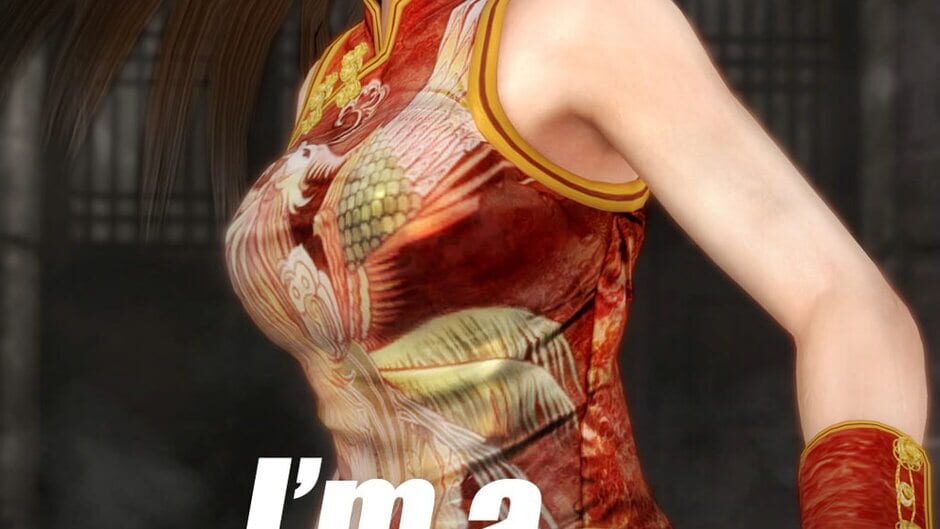 Team NINJA Dead or Alive 5