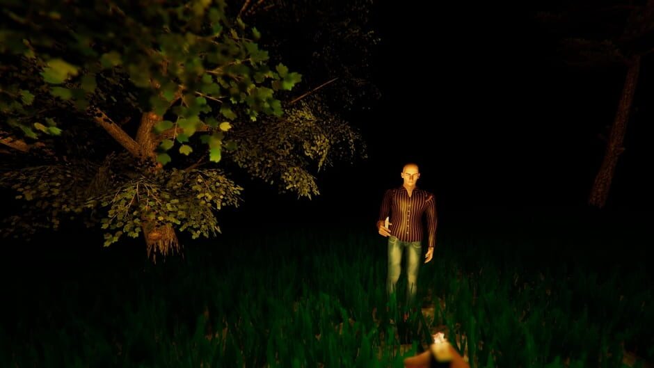 Night Sky screenshot