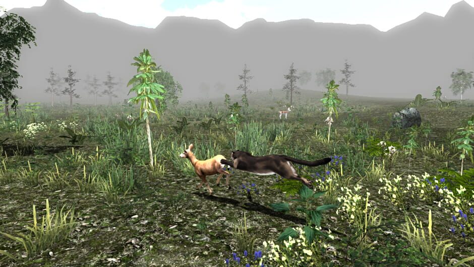 Untamed: Life of a Cougar Screenshot