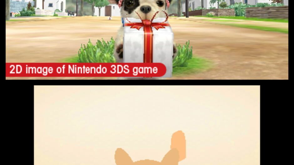 Nintendogs + Cats: French Bulldog & New Friends screenshot