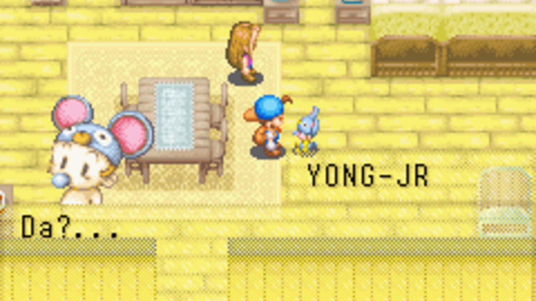 Screenshot for Harvest Moon: Friends of Mineral Town