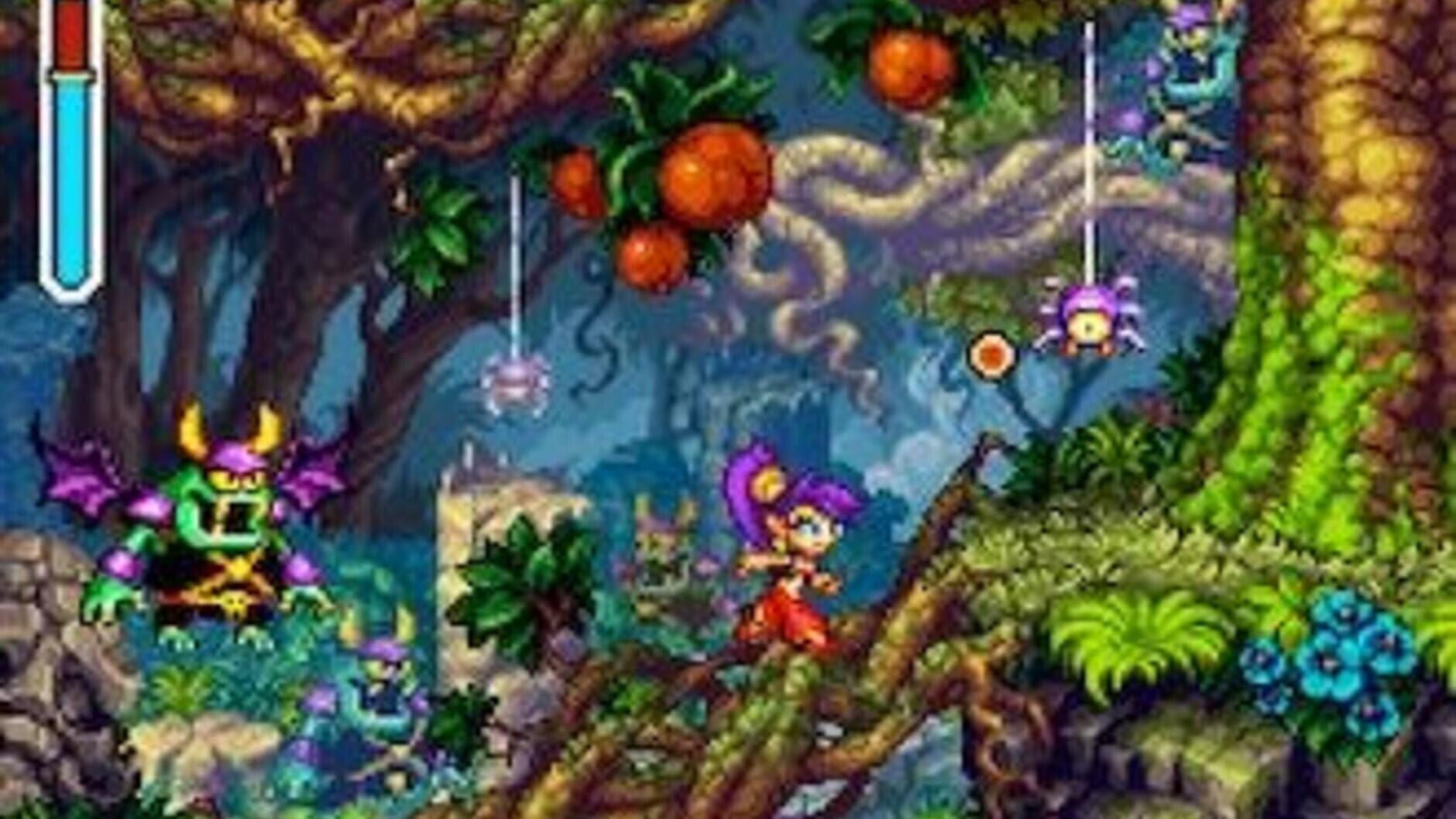 Screenshot for Shantae: Risky's Revenge