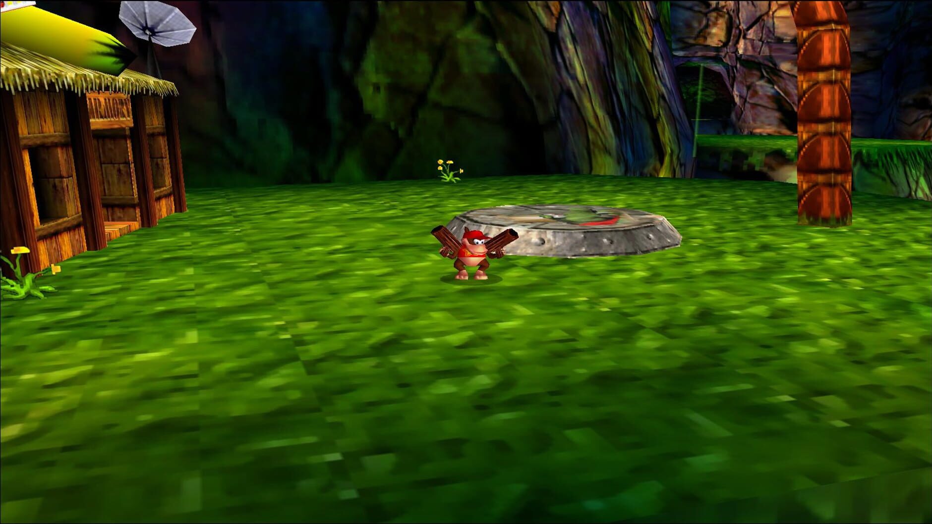 Screenshot for Donkey Kong 64