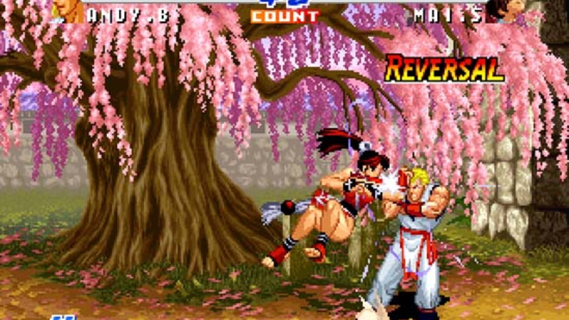 Screenshot for Real Bout Fatal Fury 2: The Newcomers