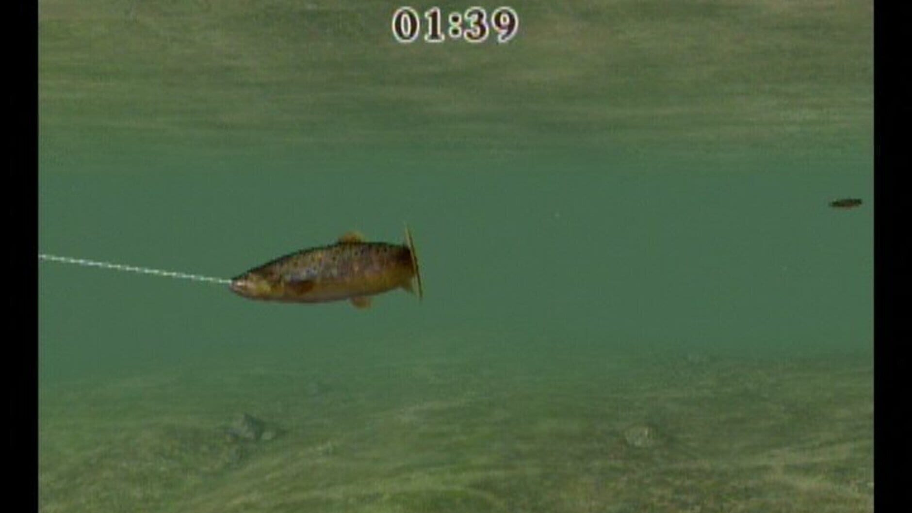 Screenshot for Reel Fishing Challenge