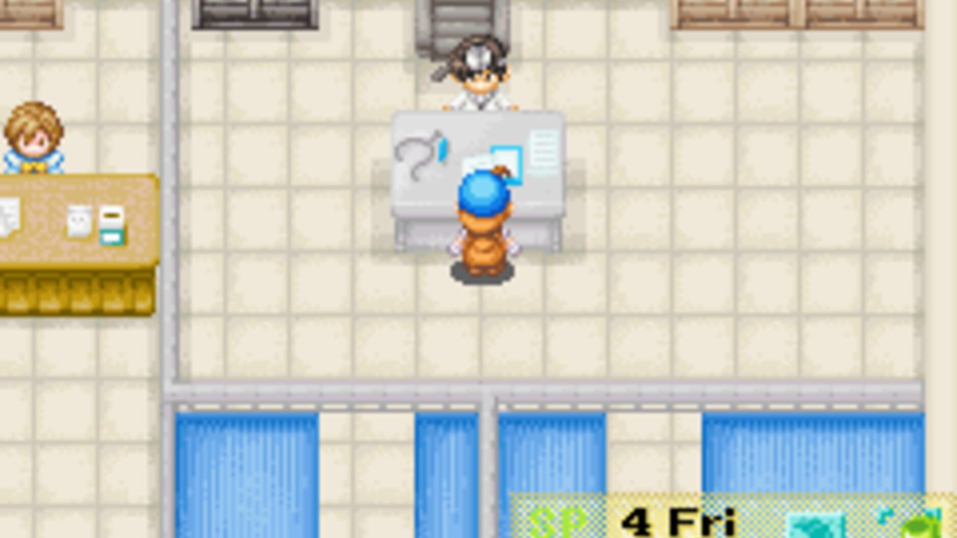 Screenshot for Harvest Moon: Friends of Mineral Town