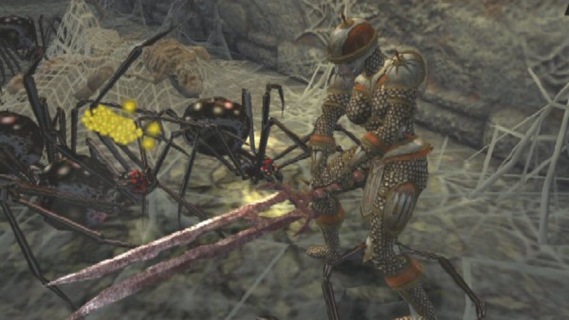 Screenshot for Champions of Norrath: Realms of EverQuest