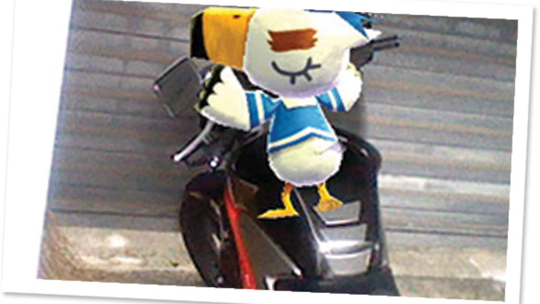 Screenshot for Photos with Animal Crossing