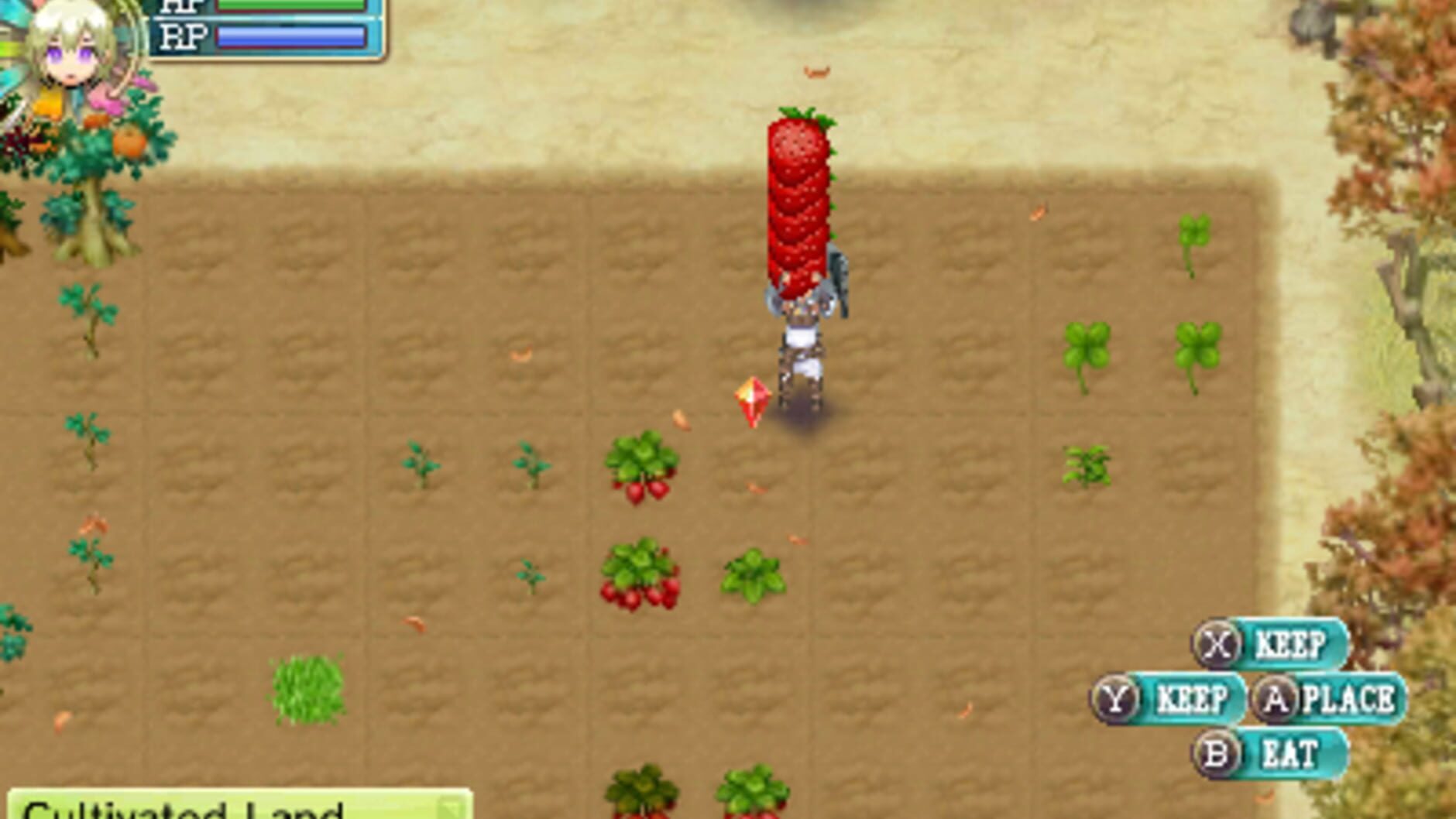 Screenshot for Rune Factory 4