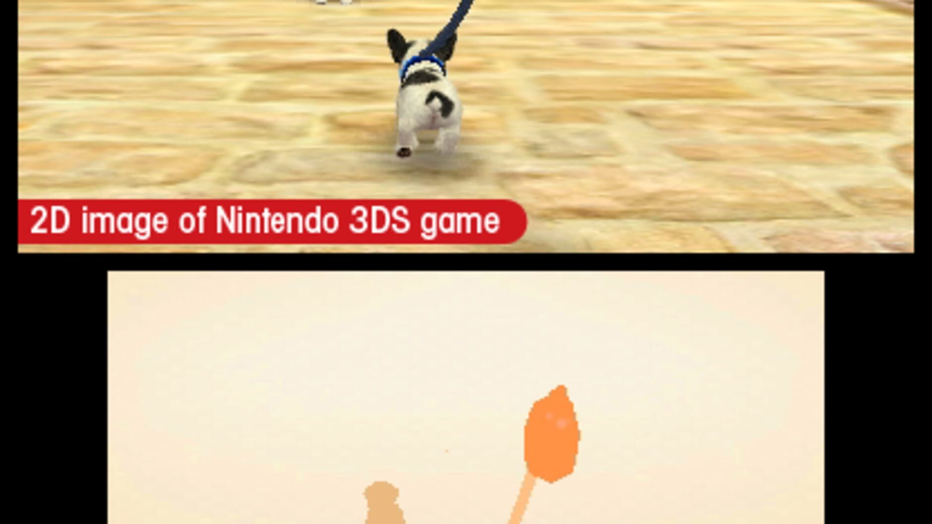 Screenshot for Nintendogs + Cats: French Bulldog & New Friends