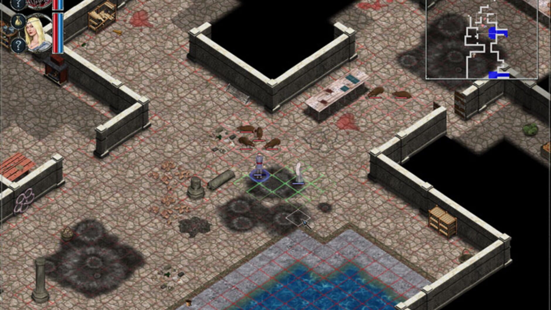 Screenshot for Avadon: The Black Fortress
