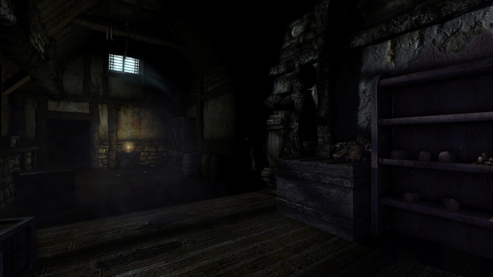 Screenshot for Amnesia: The Dark Descent