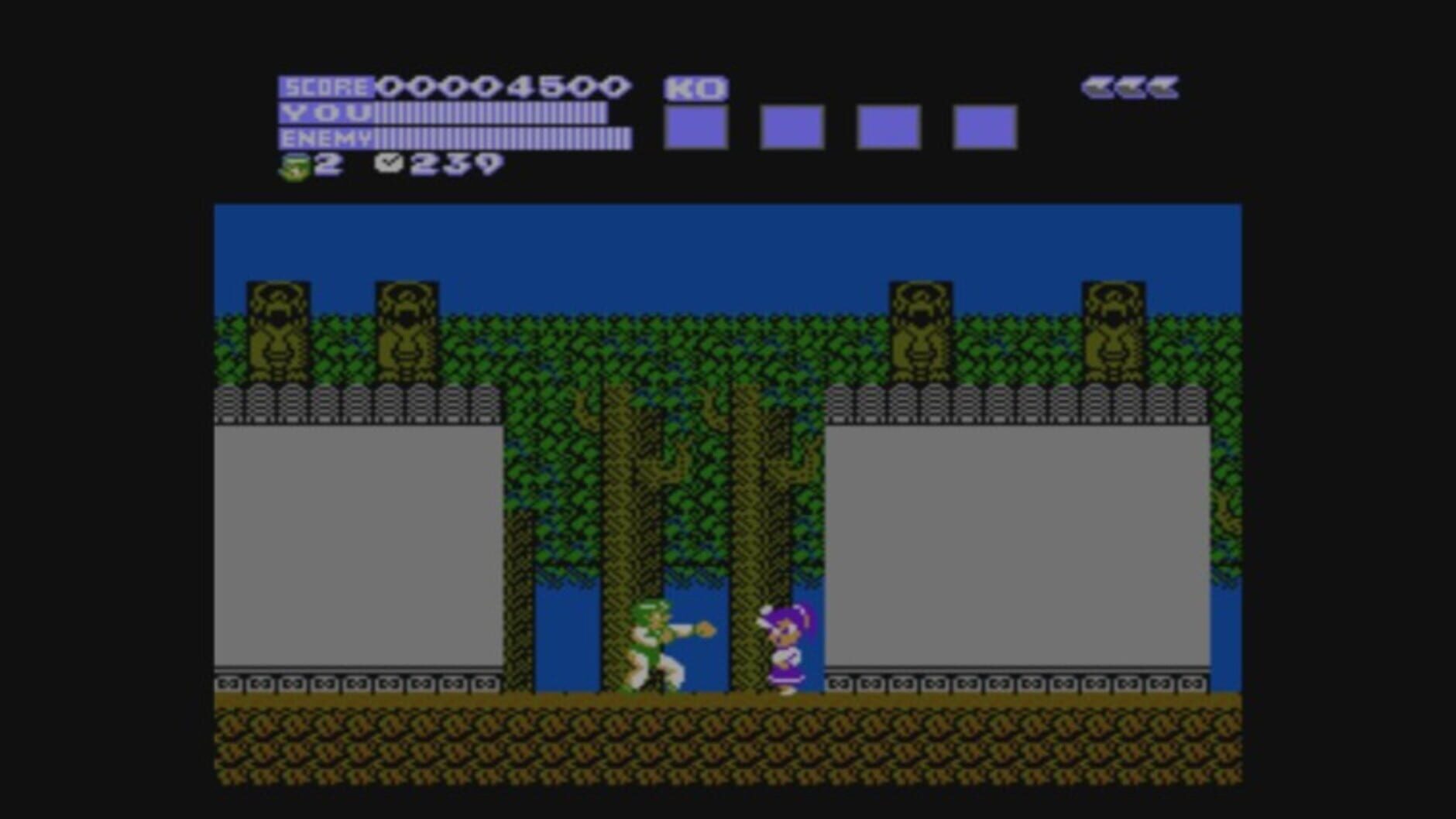 Screenshot for Flying Dragon: The Secret Scroll