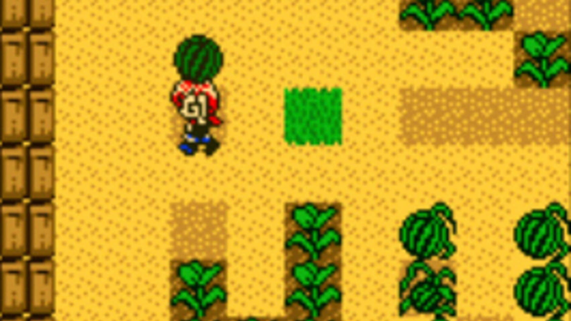 Screenshot for Harvest Moon 2 GBC