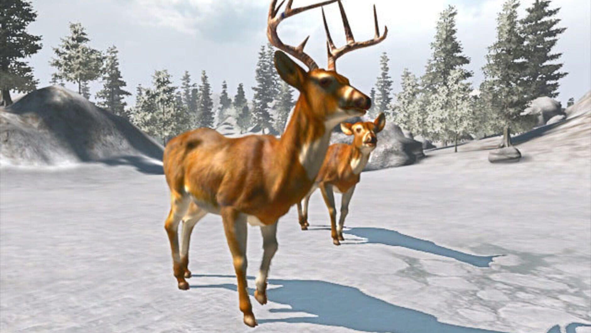 Screenshot for Cabela's Trophy Bucks