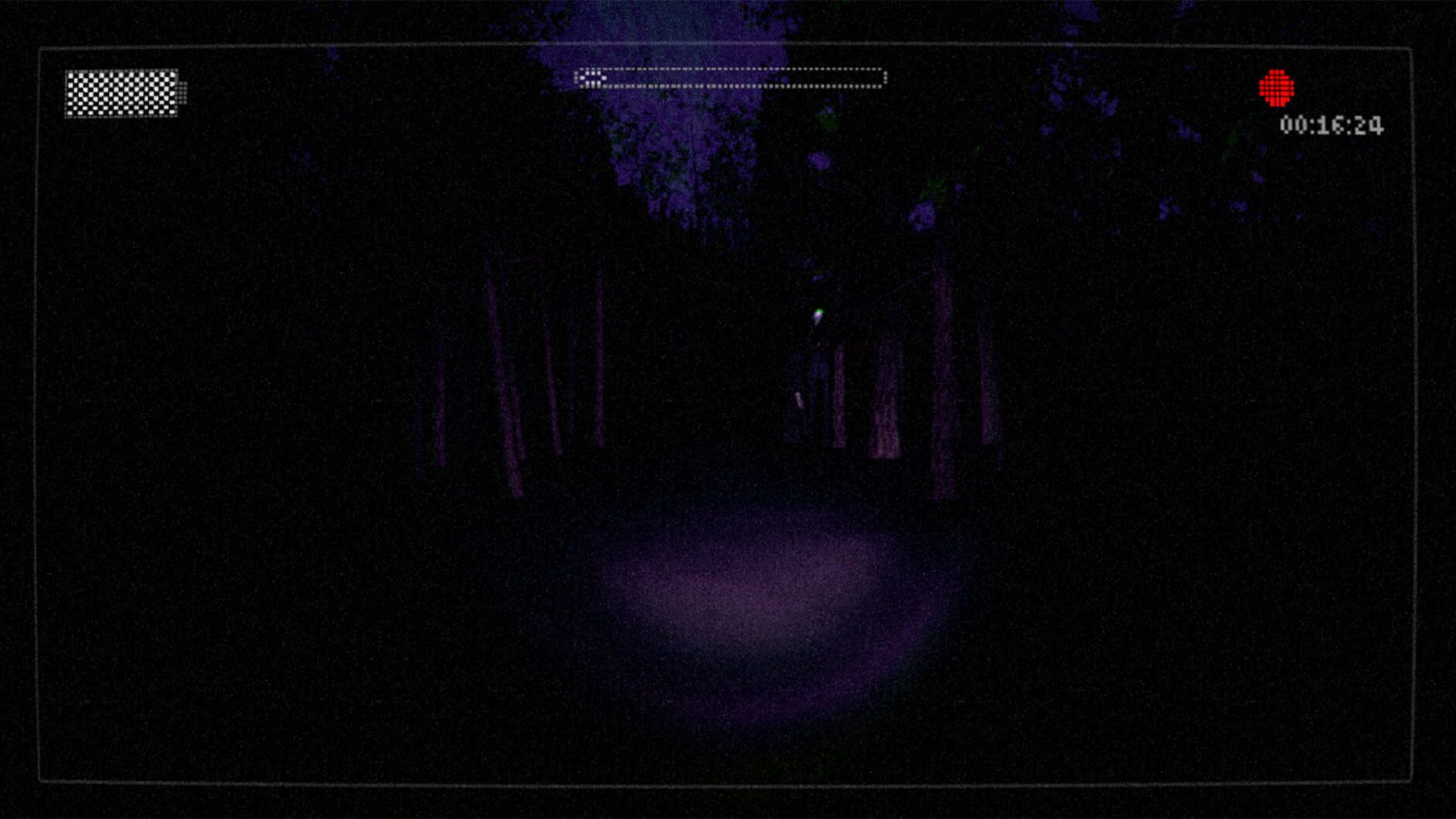 Screenshot for Slender: The Arrival