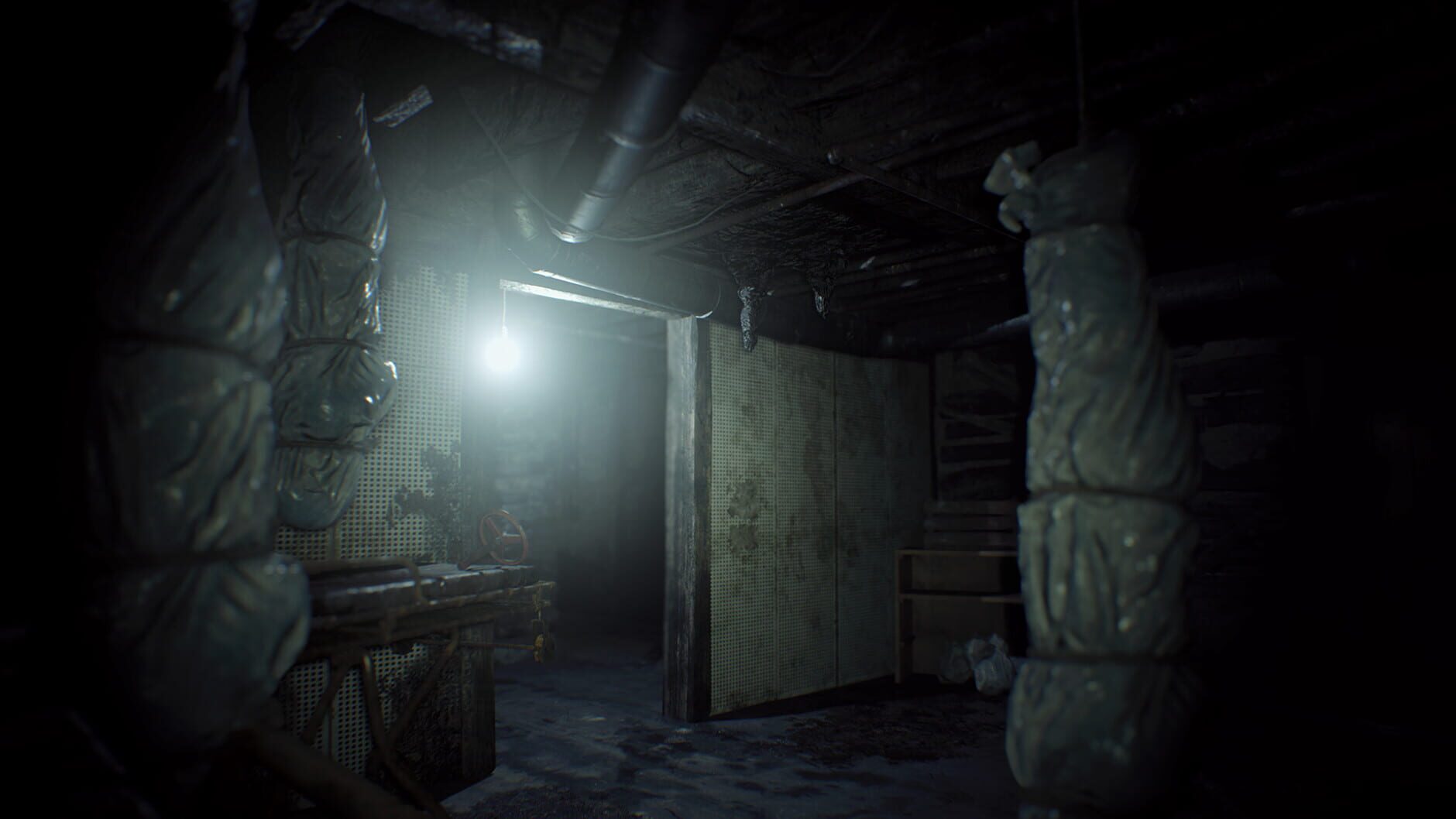 Screenshot for Resident Evil 7 Teaser: Beginning Hour