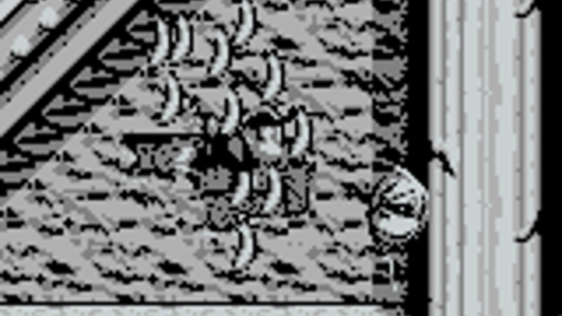 Screenshot for Donkey Kong Land