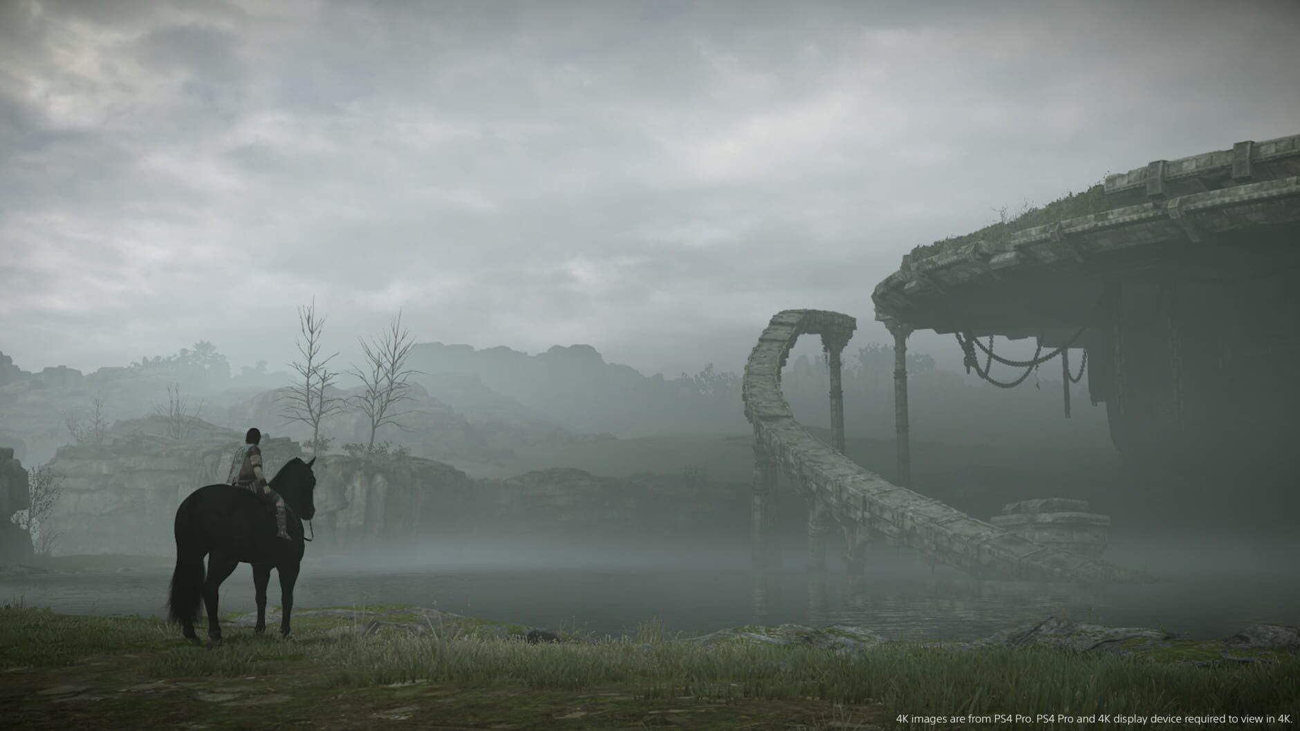Screenshot for Shadow of the Colossus