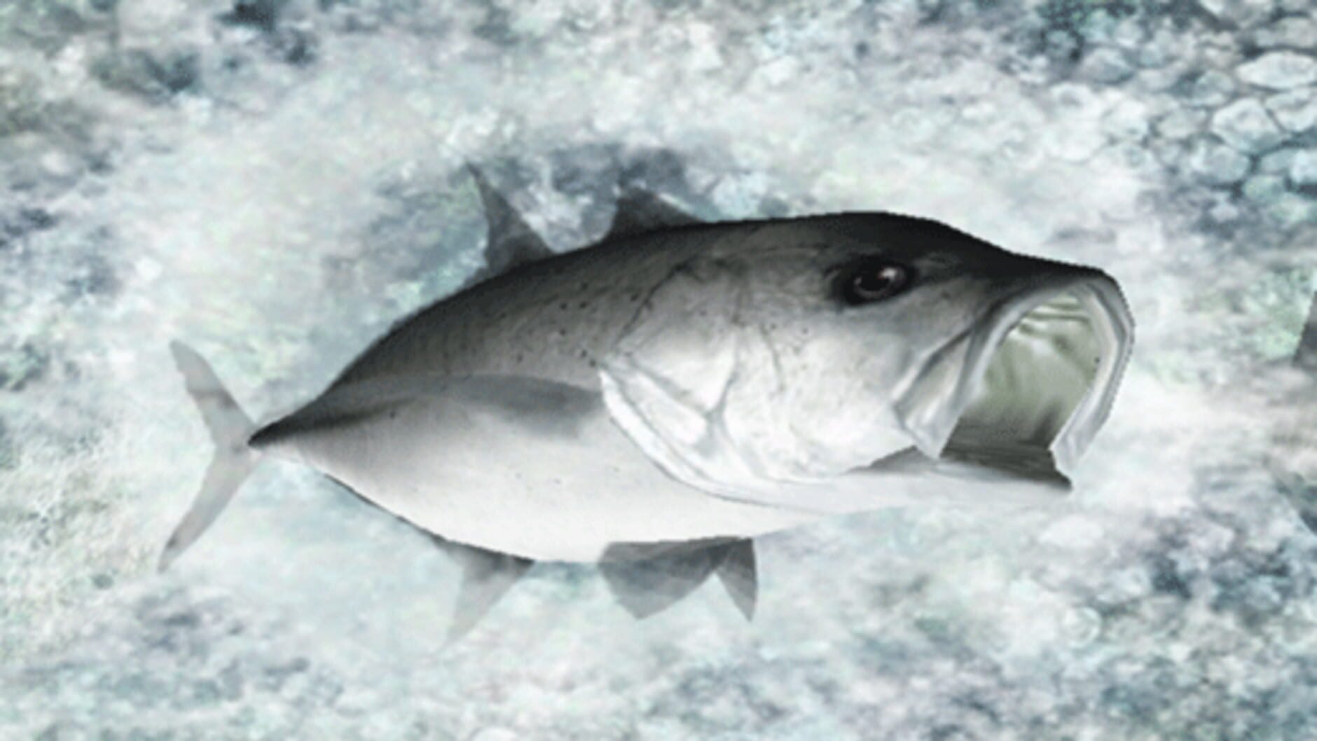 Screenshot for Reel Fishing: Ocean Challenge