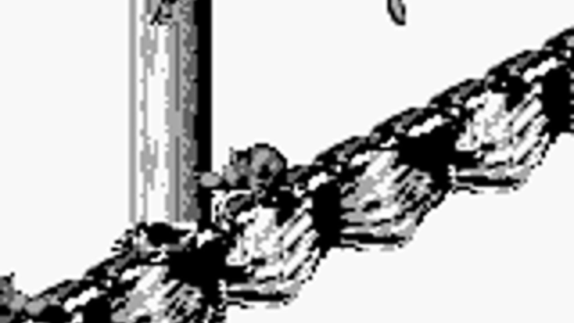 Screenshot for Donkey Kong Land 2