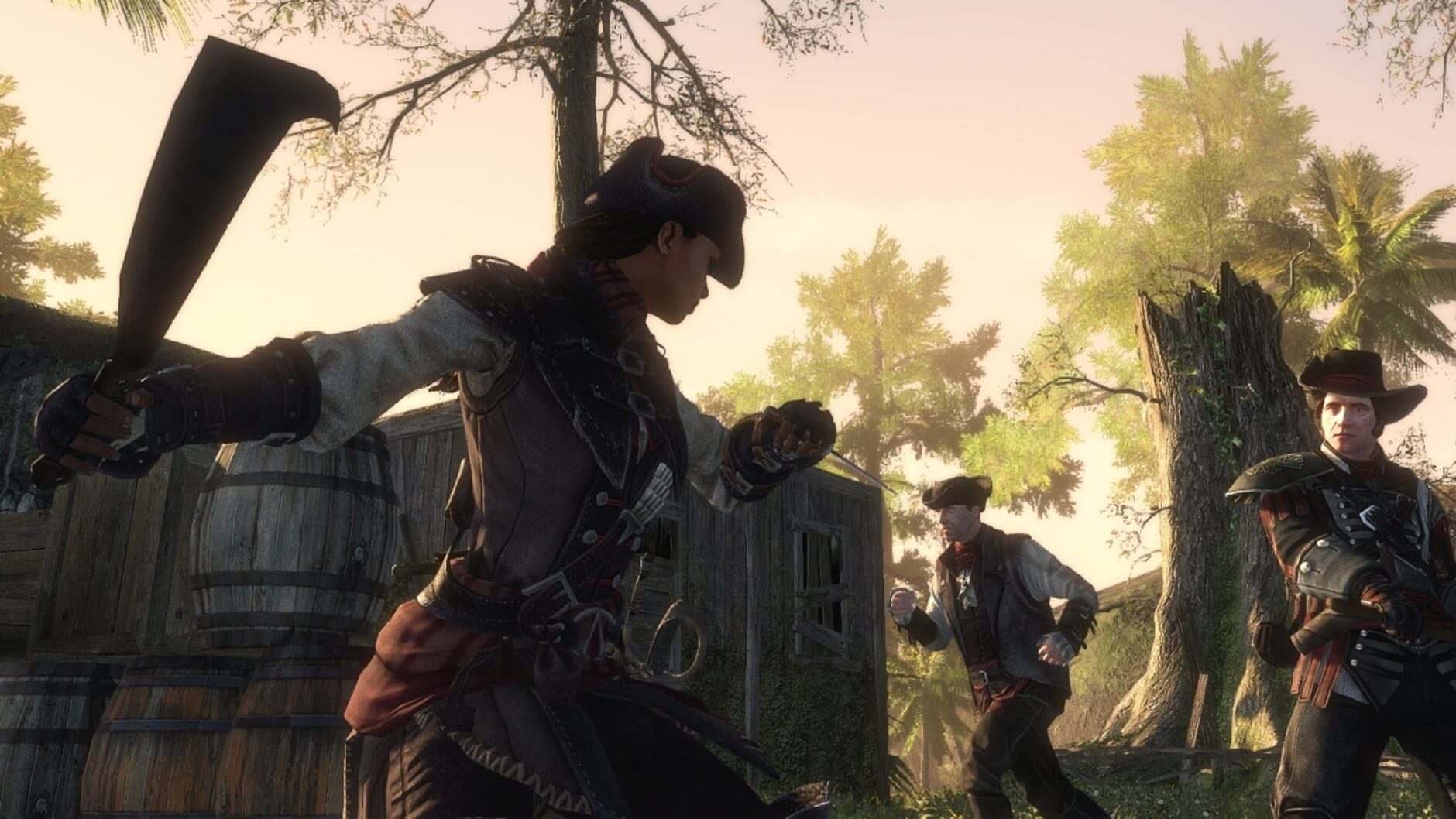 Screenshot for Assassin's Creed: Liberation HD
