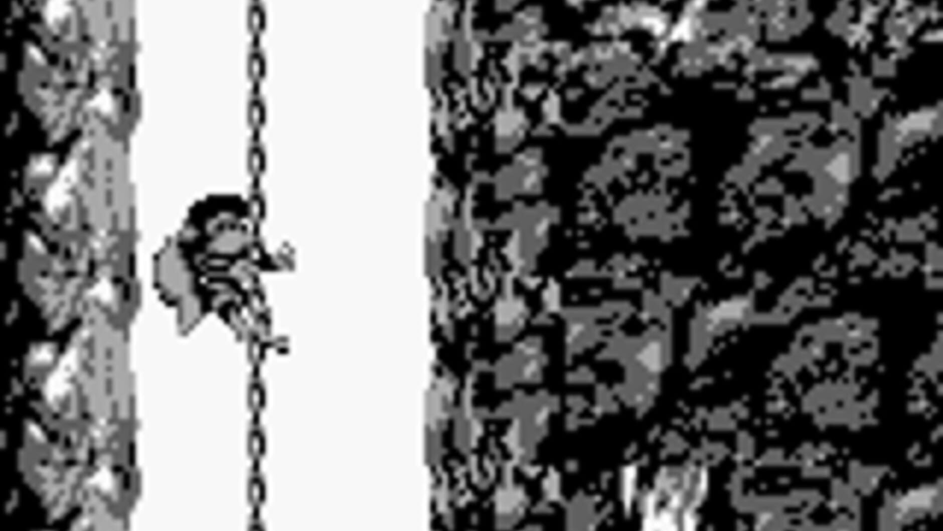 Screenshot for Donkey Kong Land 2