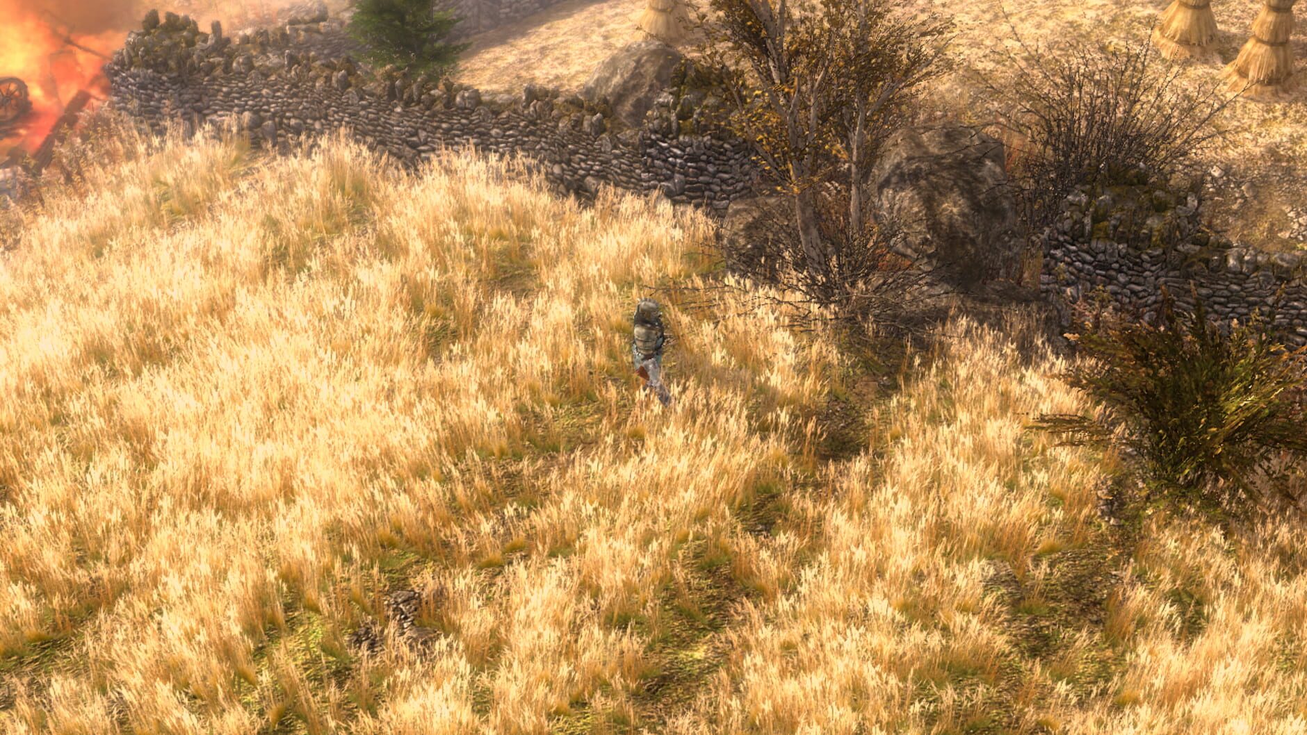 Screenshot for Grim Dawn