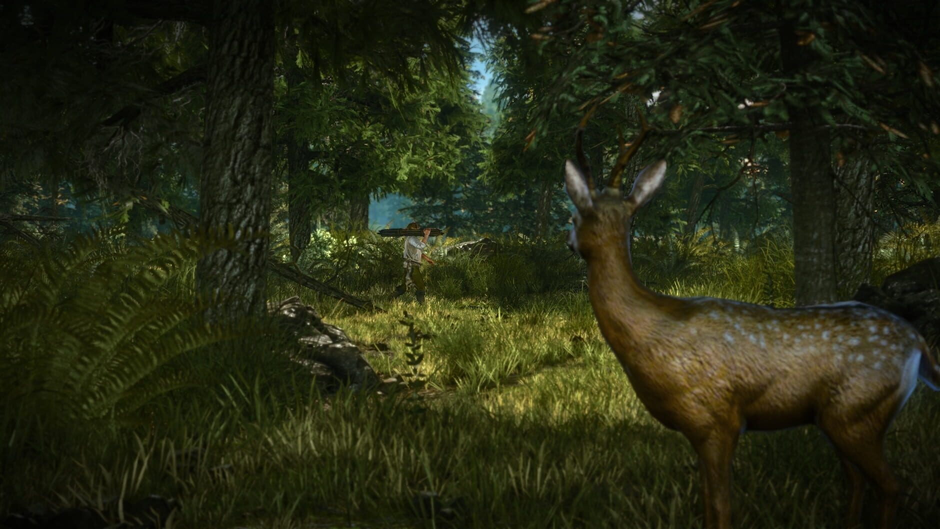 Screenshot for The Witcher 2: Assassins of Kings - Enhanced Edition