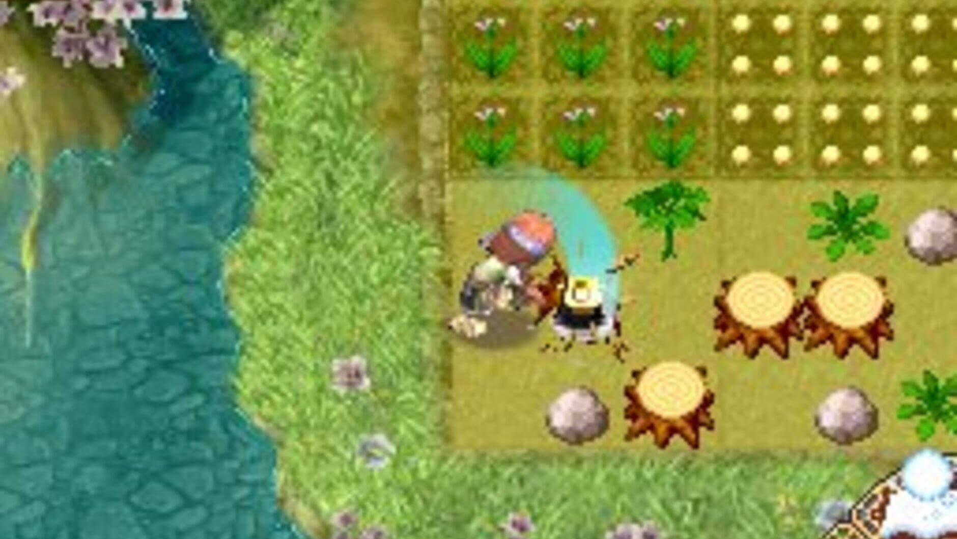 Screenshot for Rune Factory 2: A Fantasy Harvest Moon