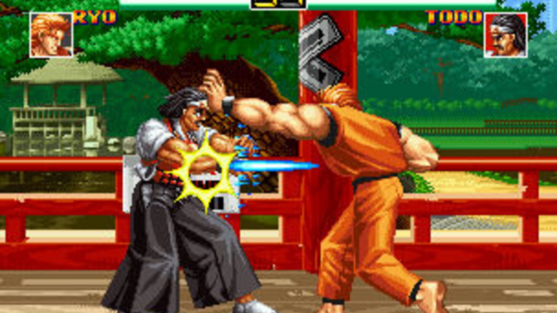 Screenshot for Art of Fighting