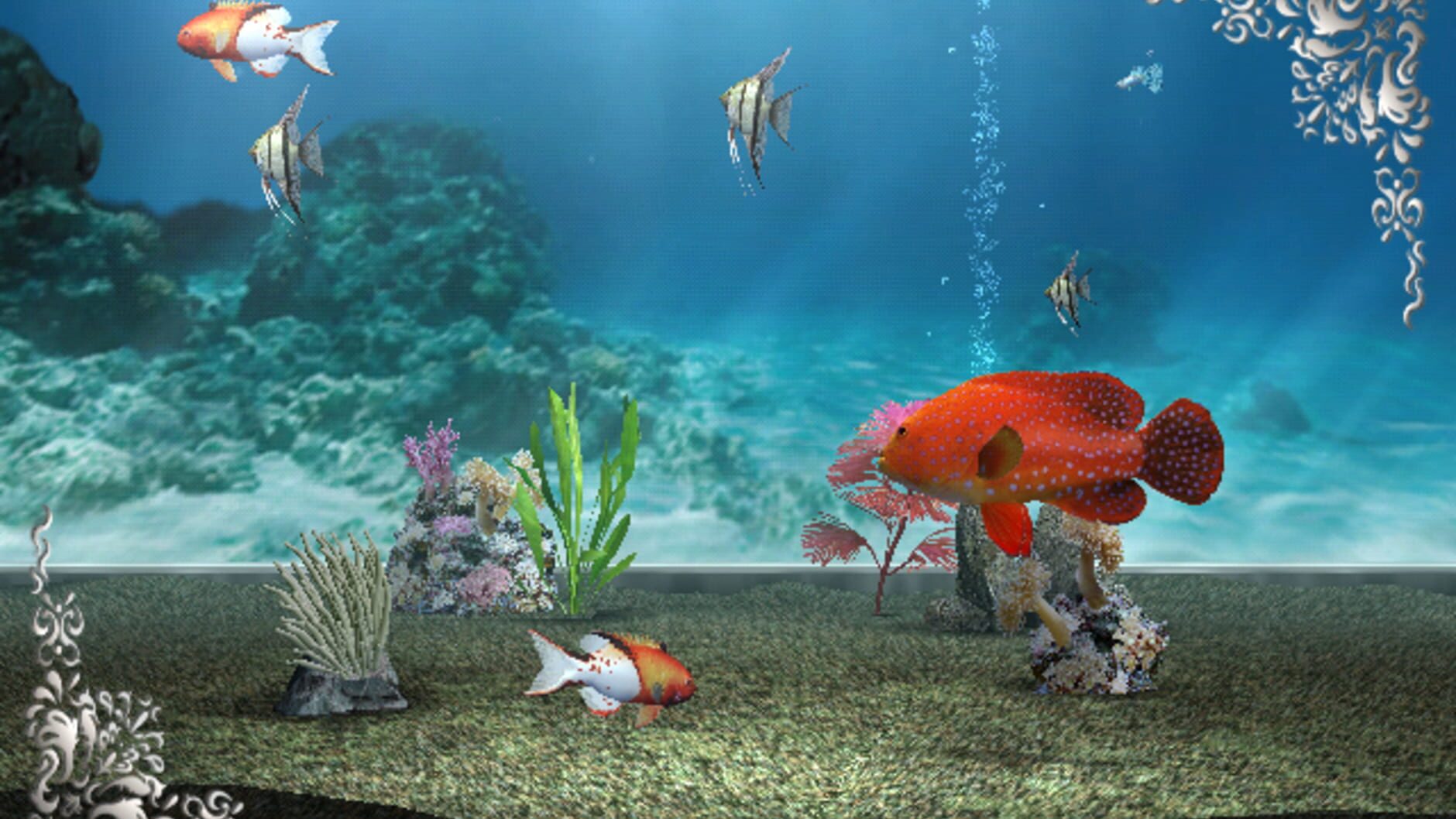 Screenshot for My Aquarium