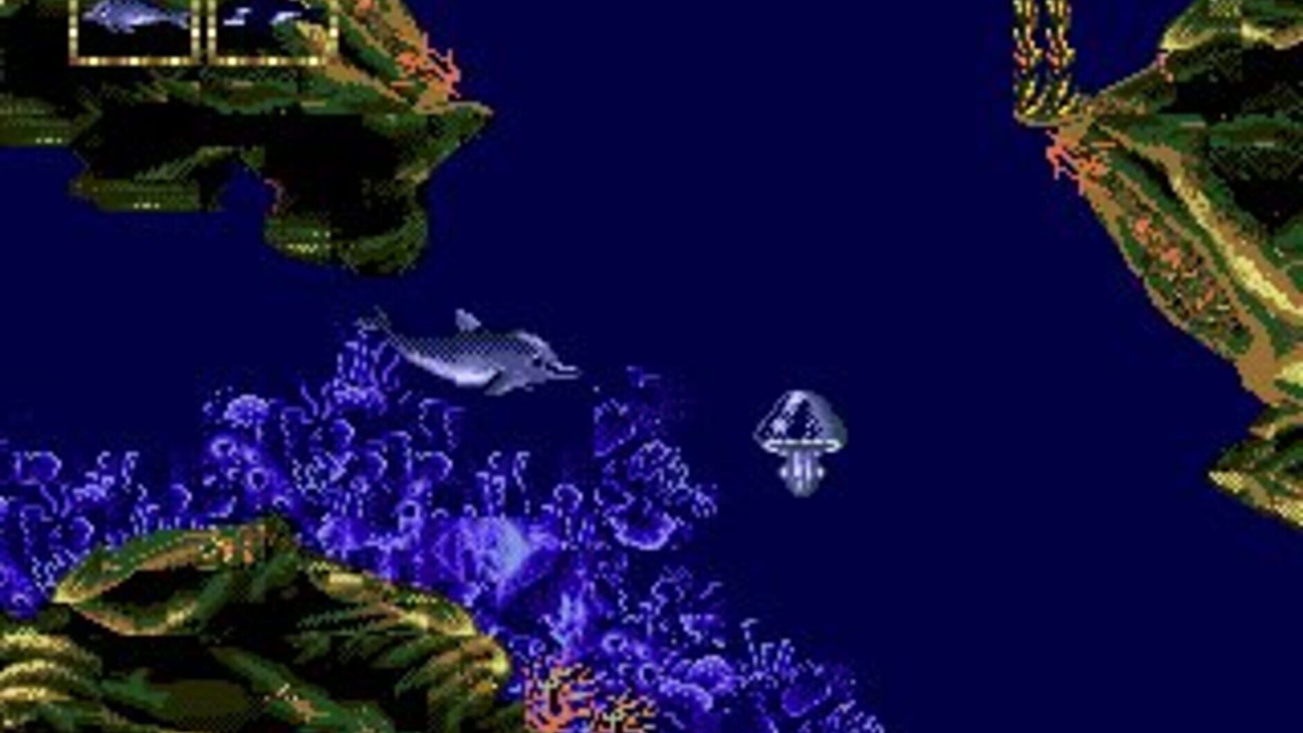 Screenshot for Ecco Jr.