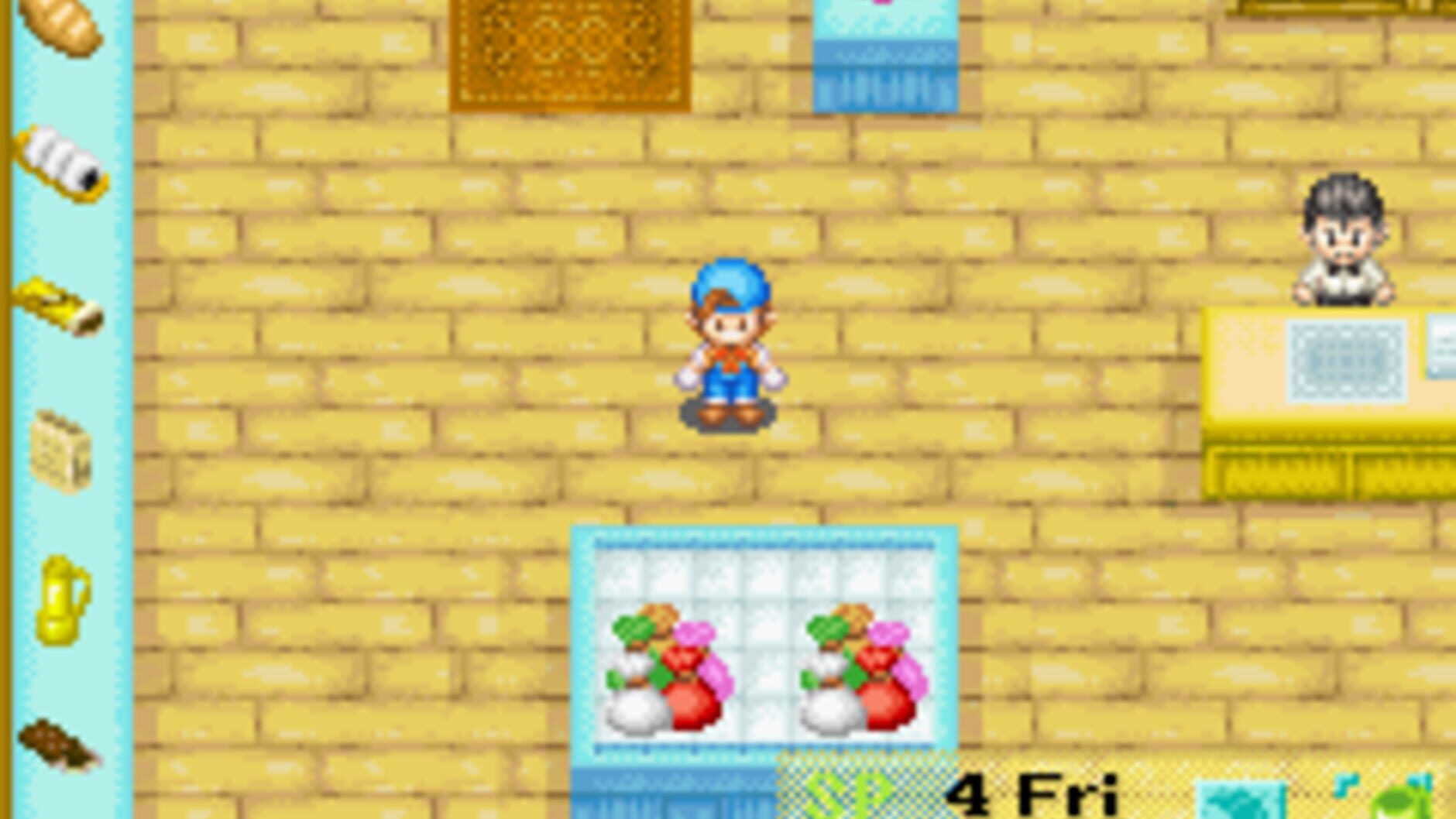 Screenshot for Harvest Moon: Friends of Mineral Town