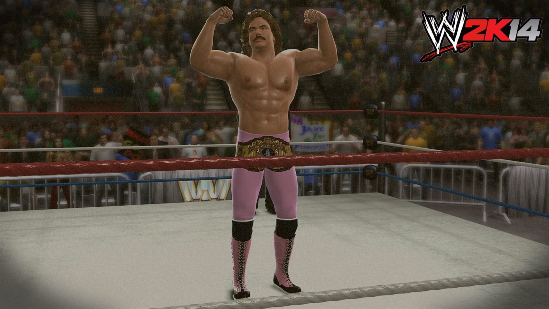 Screenshot for WWE 2K14