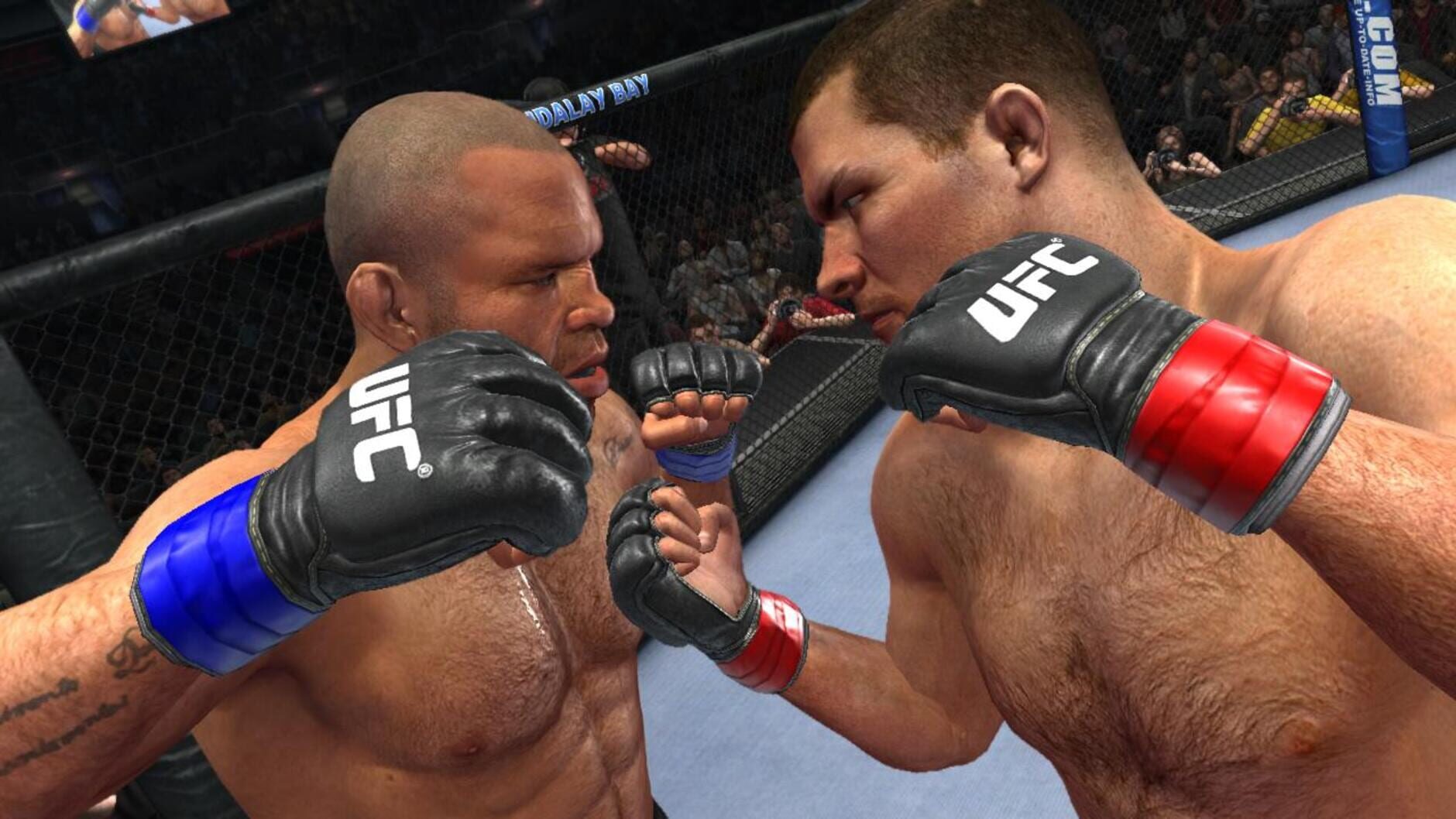 Screenshot for UFC Undisputed 2010