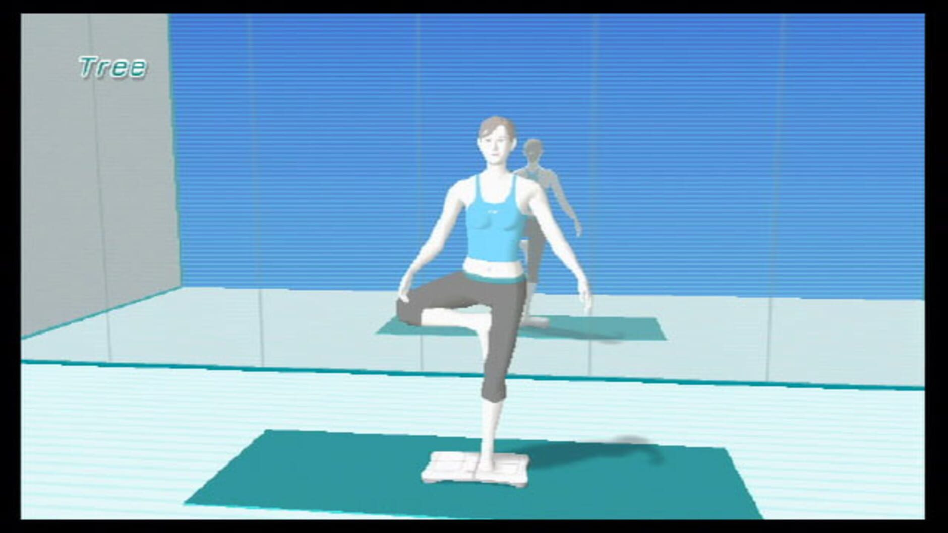 Screenshot for Wii Fit